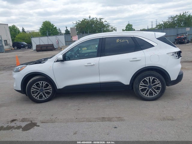 Ford Escape Sel