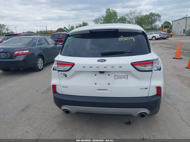 Ford Escape Sel