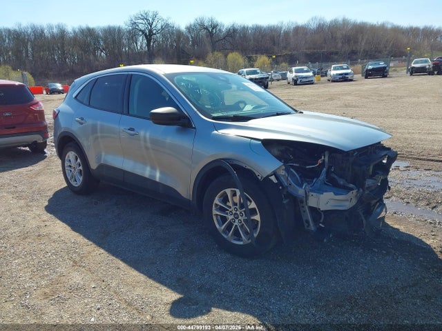 Salvage Ford Escape Image