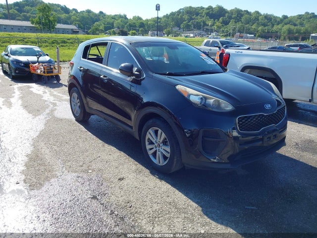 Salvage Kia Sportage Image