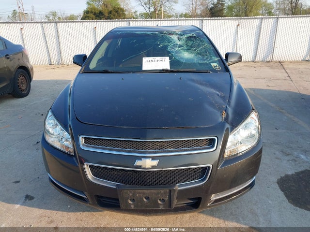 Chevrolet Malibu 1lt