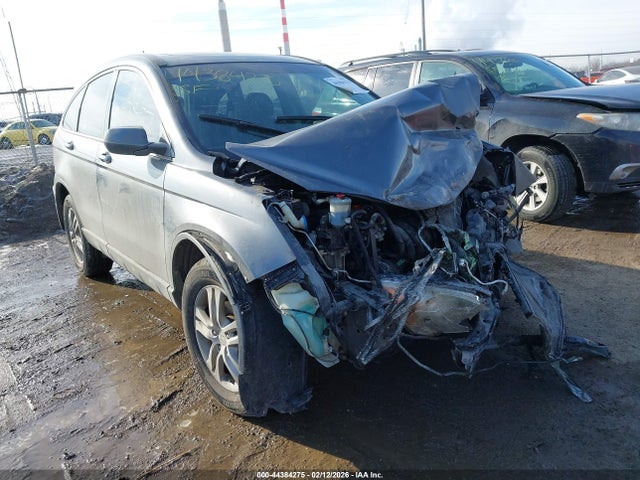 Salvage Honda CR-V Image