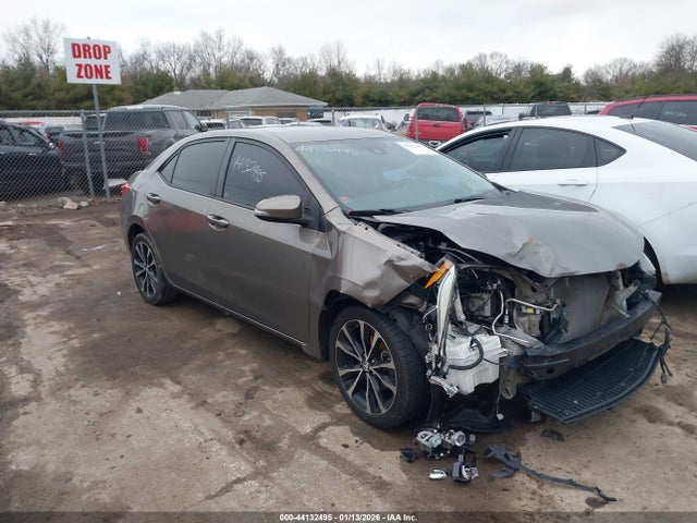 Salvage Toyota Corolla Image