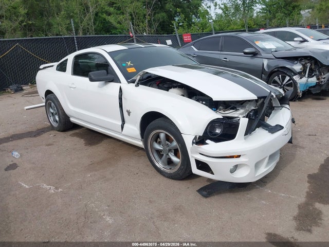 Salvage Ford Mustang Image