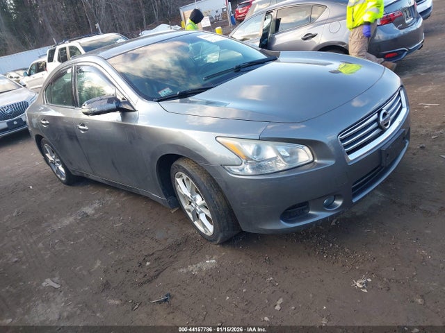 Salvage Nissan Maxima Image