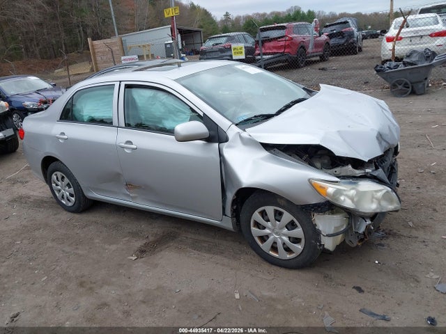 Salvage Toyota Corolla Image