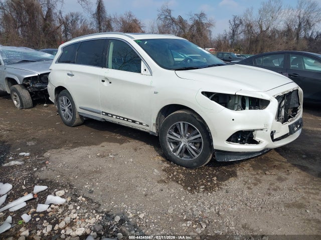 Salvage INFINITI Qx Image