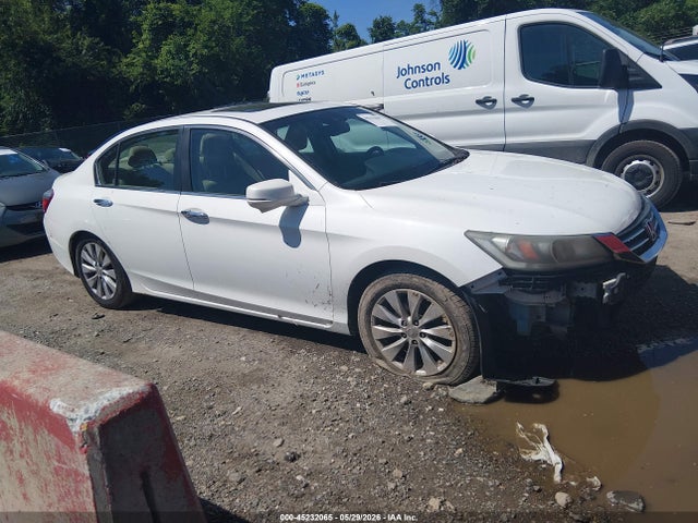 Salvage Honda Accord Image