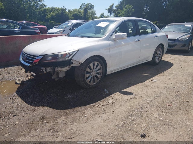 Honda Accord Ex-l
