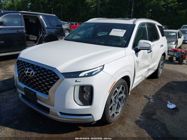 Hyundai PALISADE Calligraphy