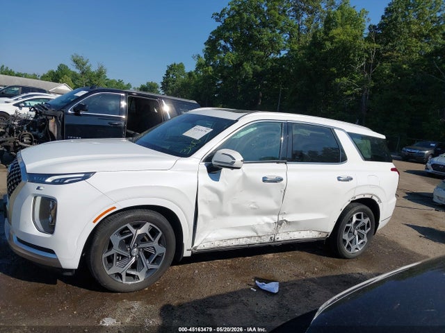 Hyundai PALISADE Calligraphy