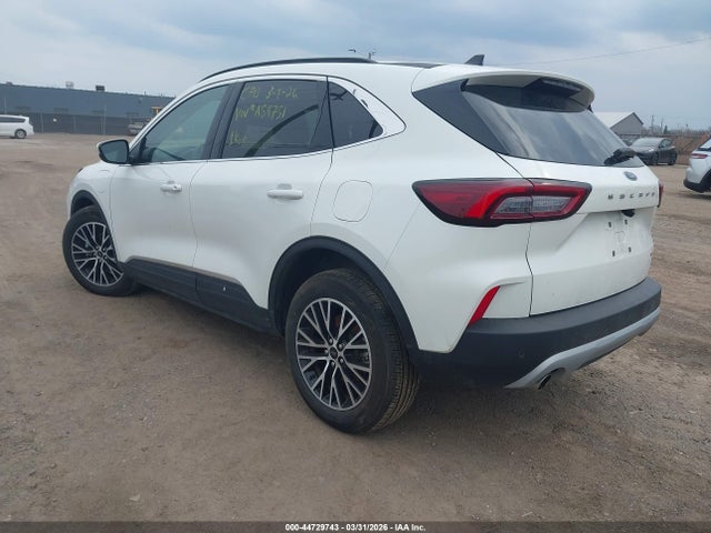 Ford Escape Phev