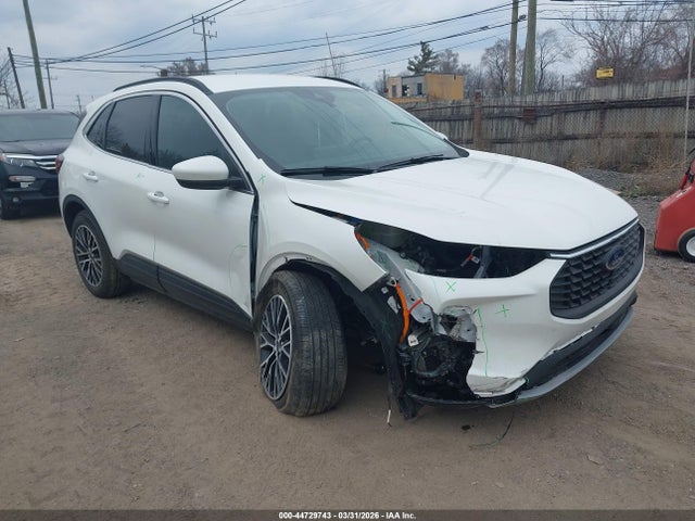 Salvage Ford Escape Image