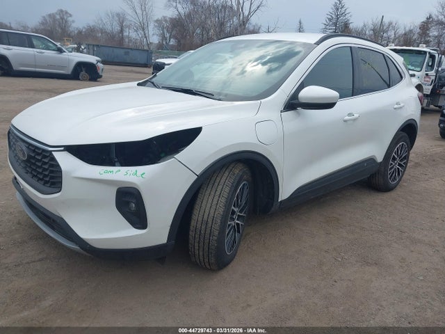 Ford Escape Phev