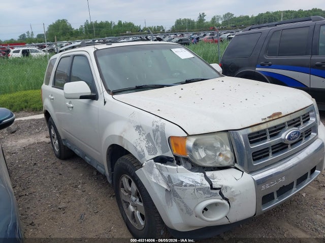 Salvage Ford Escape Image