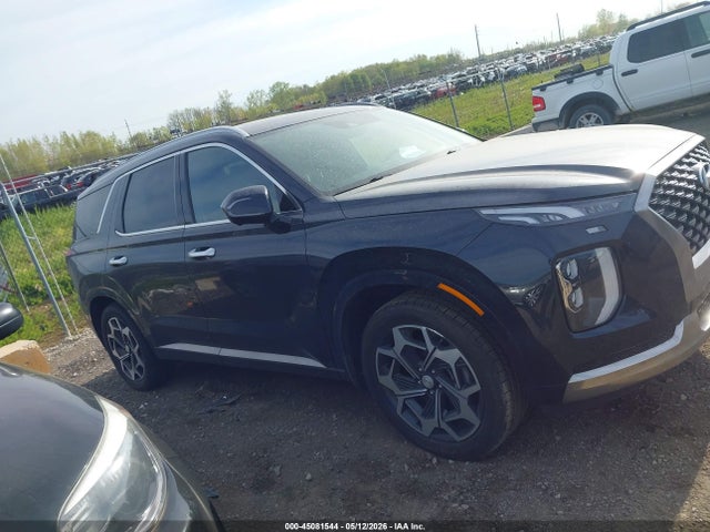 Hyundai PALISADE Calligraphy