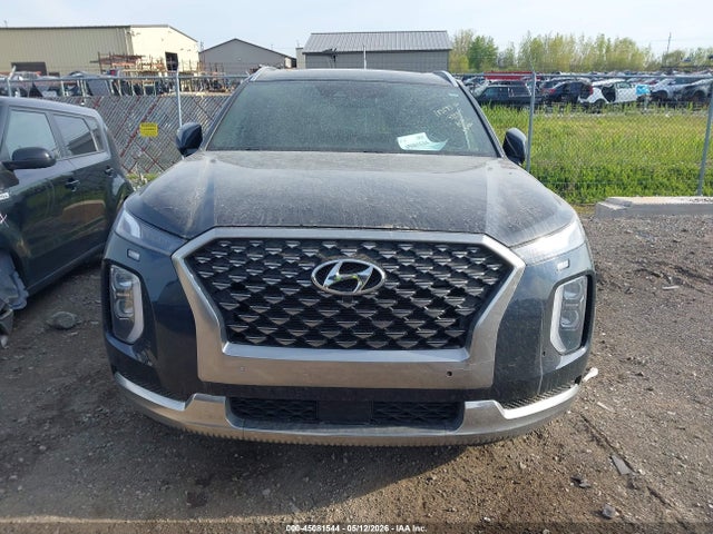 Hyundai PALISADE Calligraphy