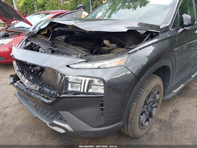 Hyundai SANTA FE Xrt