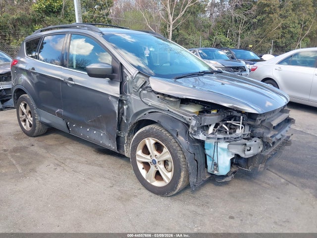 Salvage Ford Escape Image