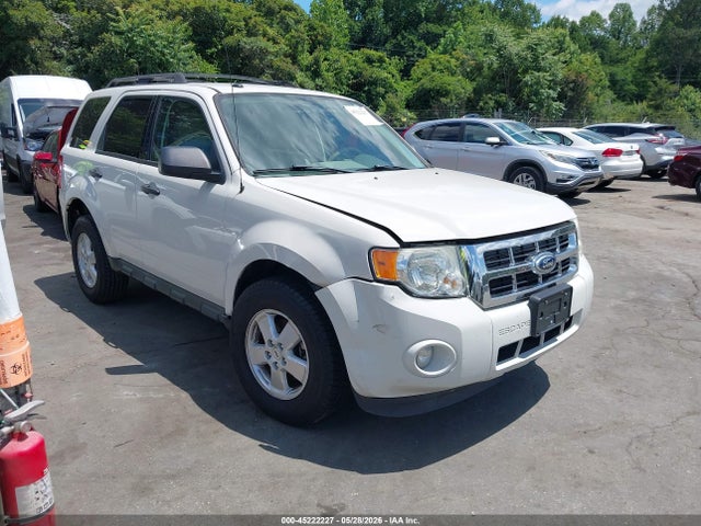 Salvage Ford Escape Image