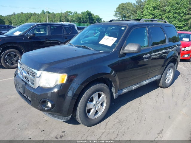 Ford Escape Xlt