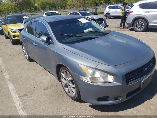 Salvage Nissan Maxima Image