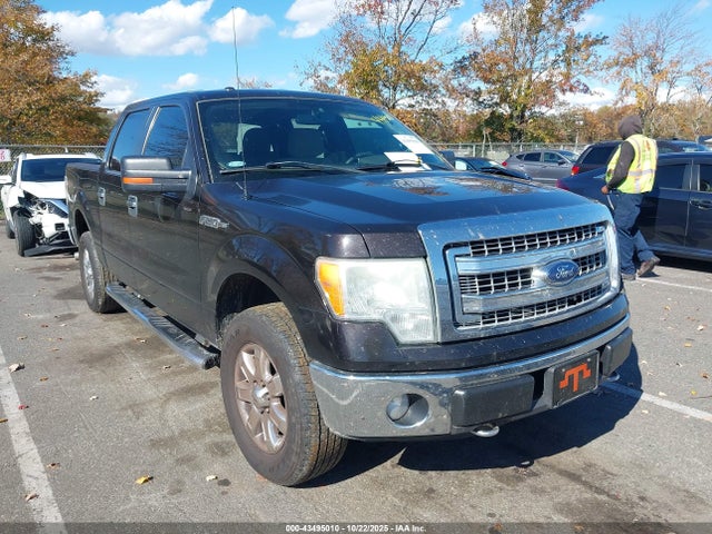 Salvage Ford F-150 Image