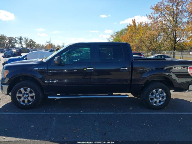 Ford F-150 Xlt