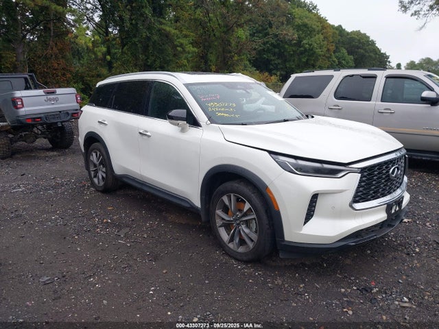 Salvage INFINITI Qx Image