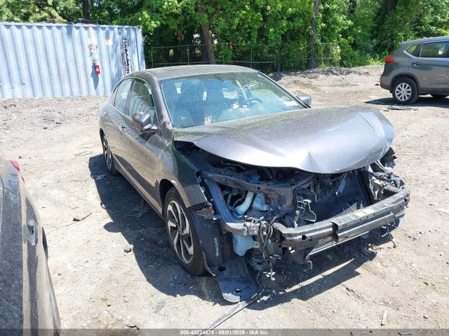 Salvage Honda Accord Image
