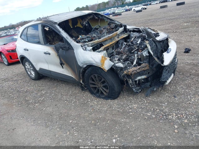 Salvage Ford Escape Image
