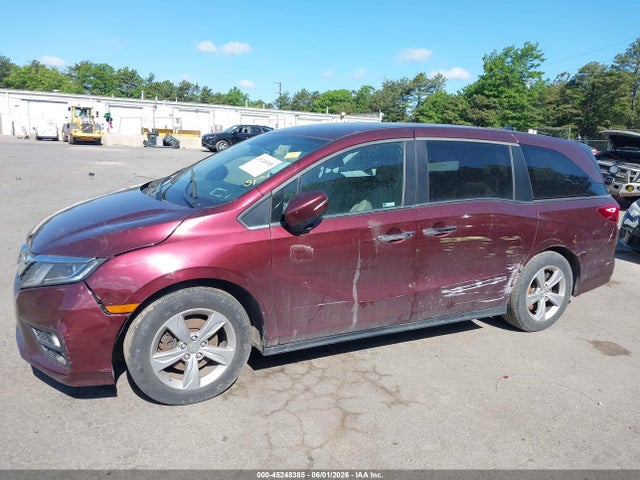 Honda Odyssey Ex