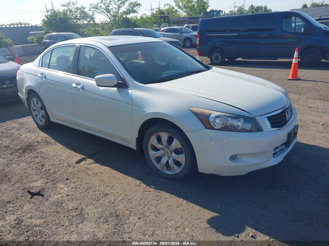 Salvage Honda Accord Image