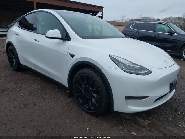 Salvage Tesla Model Y Image