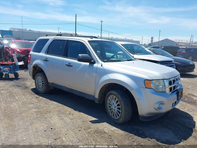 Salvage Ford Escape Image