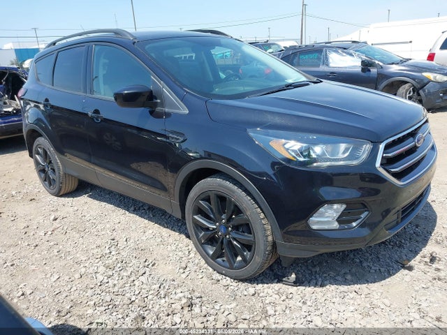 Salvage Ford Escape Image