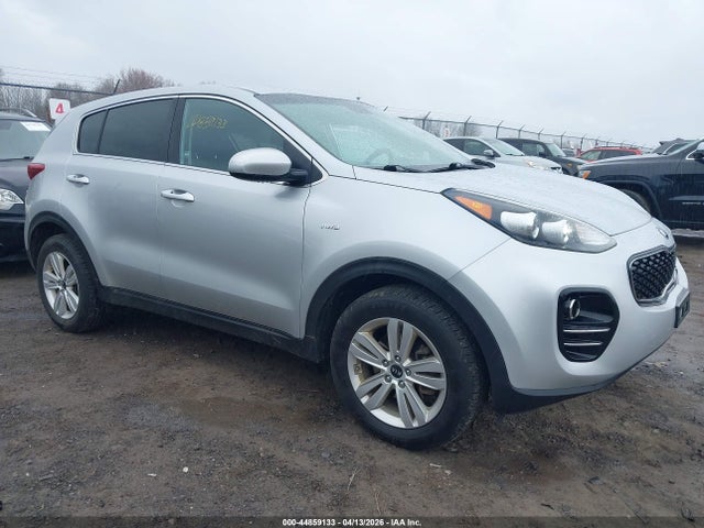 Salvage Kia Sportage Image
