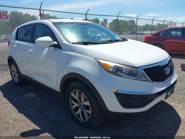 Salvage Kia Sportage Image