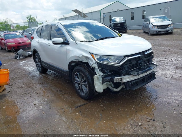 Salvage Honda CR-V Image