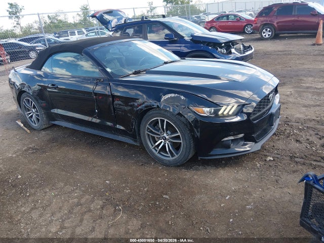 Salvage Ford Mustang Image
