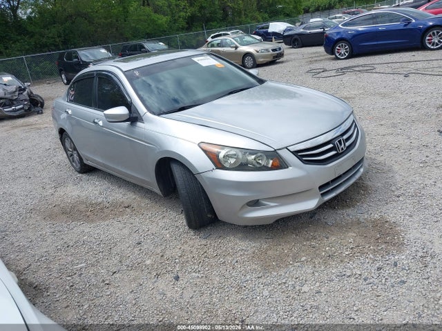 Salvage Honda Accord Image