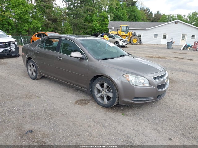 Salvage Chevrolet Malibu Image