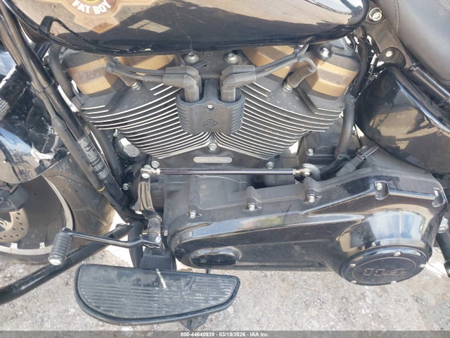 Harley-Davidson Flfbsanv