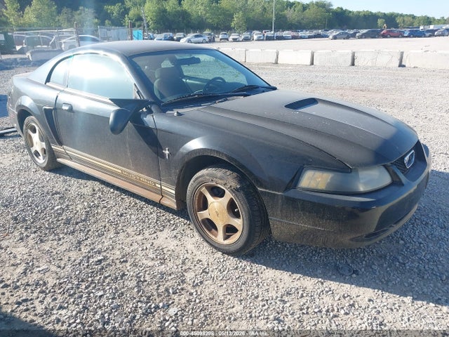 Salvage Ford Mustang Image