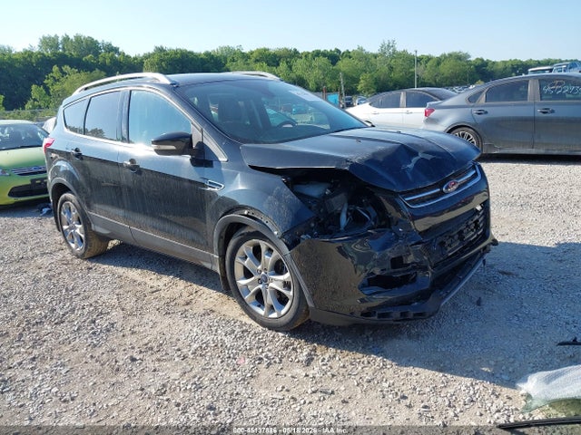 Salvage Ford Escape Image