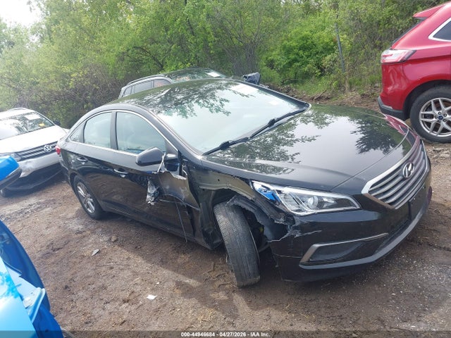 Salvage Hyundai SONATA Image