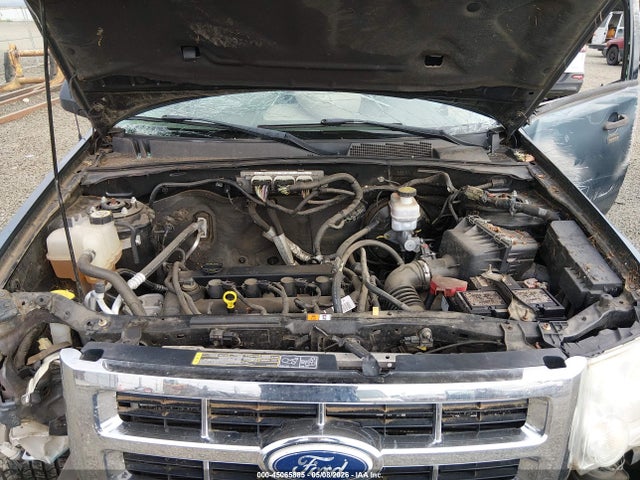 Ford Escape Xlt