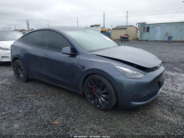 Salvage Tesla Model Y Image
