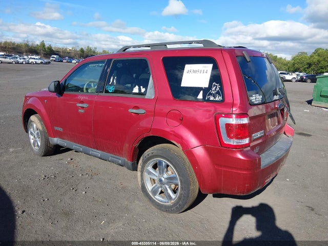 Ford Escape Xlt