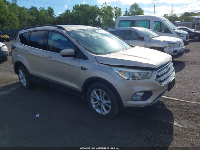 Salvage Ford Escape Image